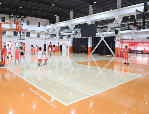 Cushions & Volleyball? Sleeper Sofas for Assembled Wooden Flooring Spaces!